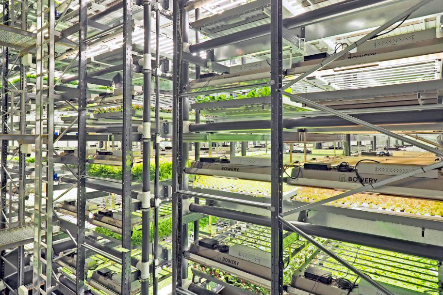 Indoor Farms